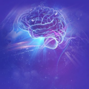 The Brain song